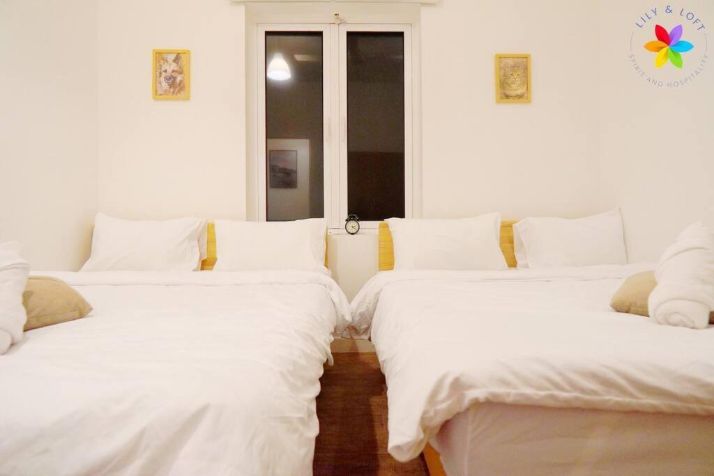 Vila 30p White House Retreat - Pool & Event Hall